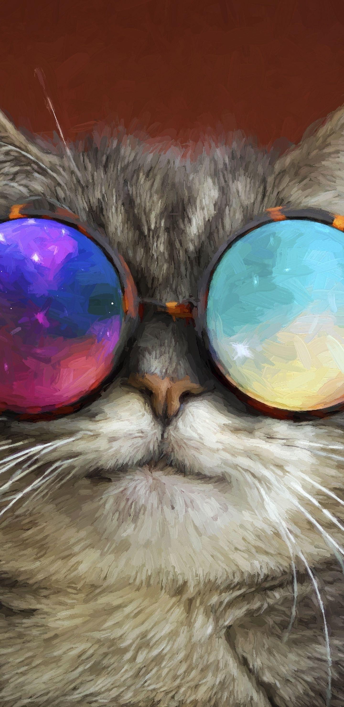  Galaxy  Cat  Wallpapers  Top Free Galaxy  Cat  Backgrounds  