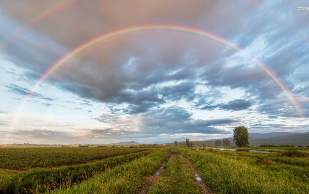 Hình nền 1280x804 Wet Fields Way Rainbow Clouds.  Cánh đồng ướt cách cầu vồng