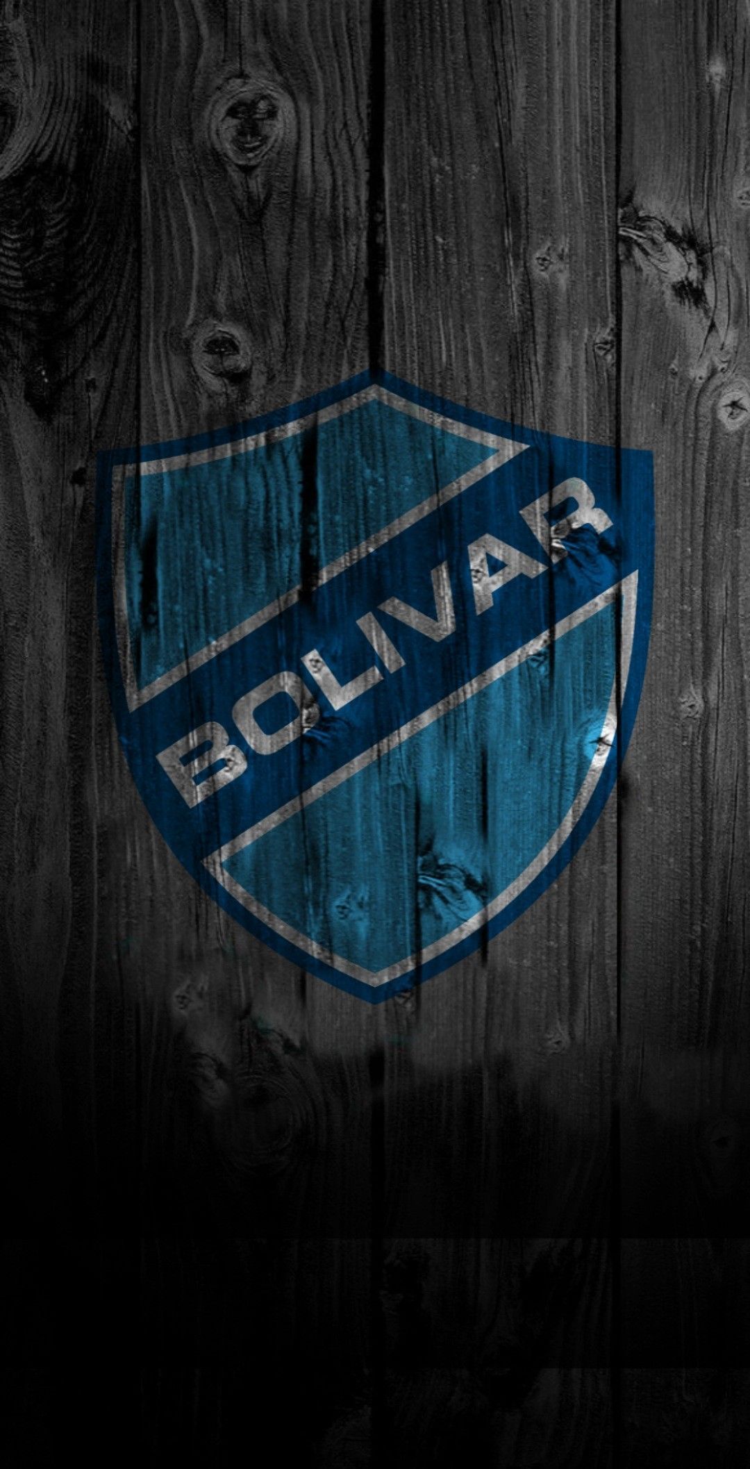 1080x2115 ideas de CLUB BOLIVAR. club bolivar, bolivar, temas de fútbol