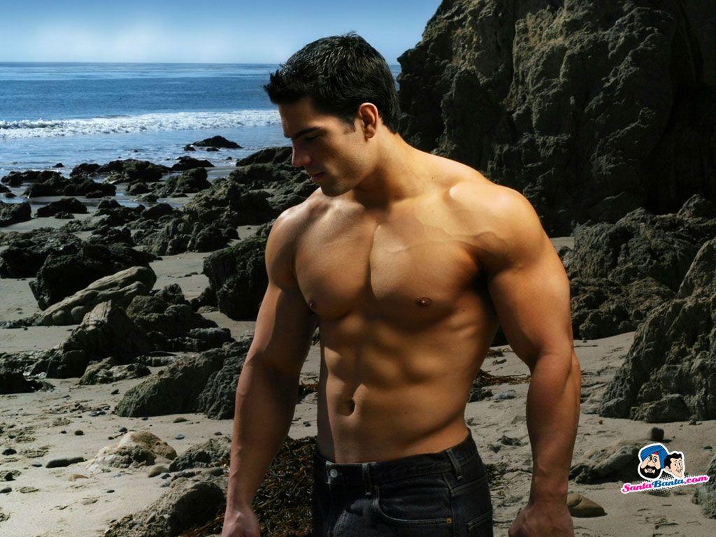 1024x768 Bodybuilders Wallpaper