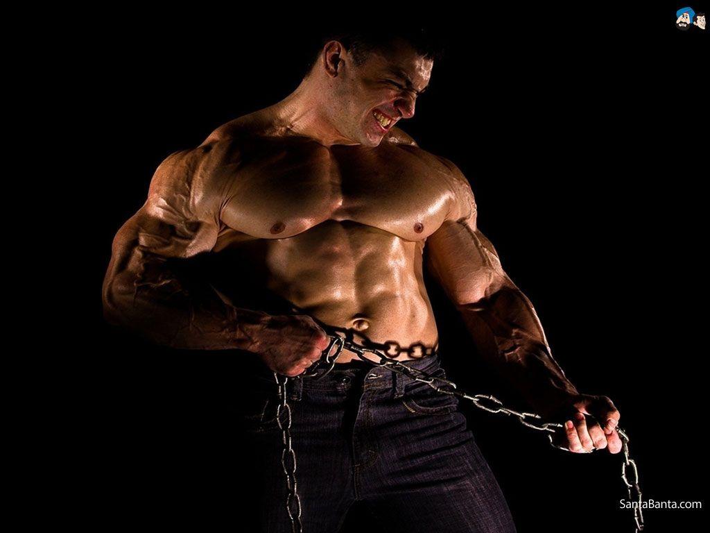 1024x768 Bodybuilding image HD free download