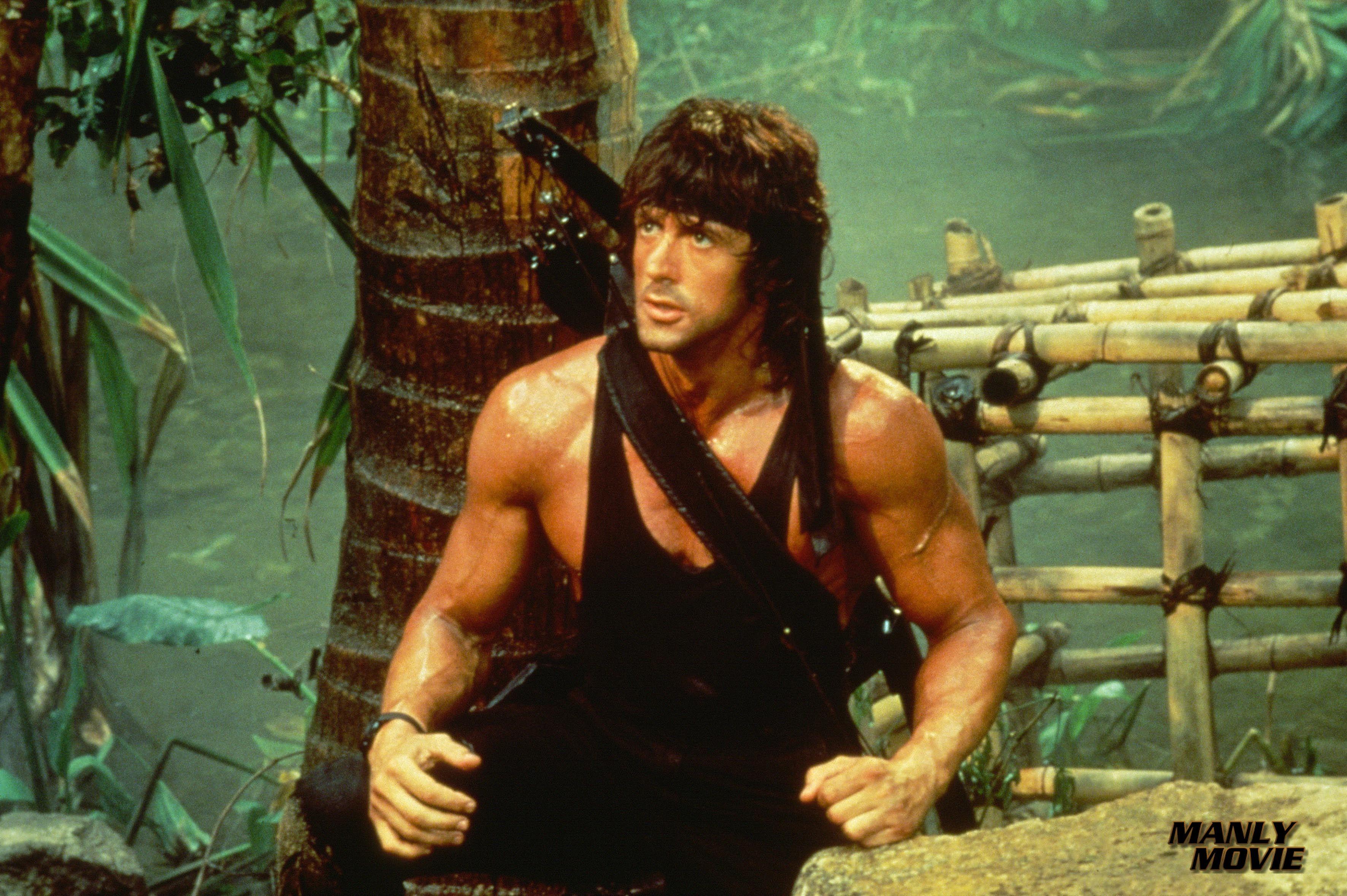 3543x2358 Rambo: First Blood Part II wallpaper, Movie, HQ Rambo: First