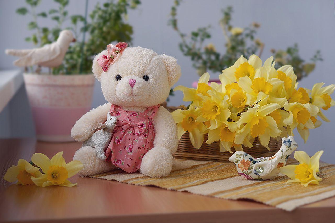 Flower Teddy Bear Wallpapers - Top Free Flower Teddy Bear Backgrounds