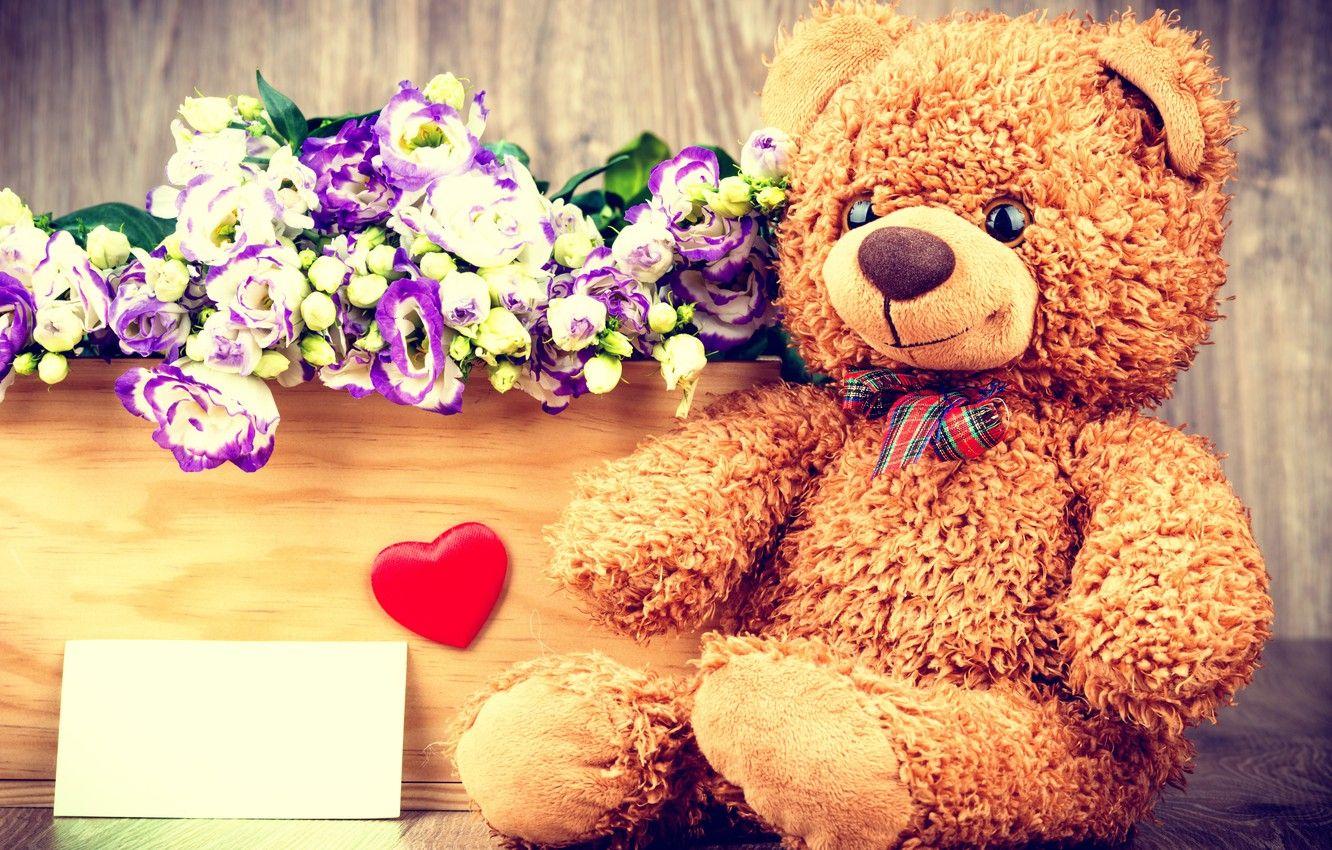 Flower Teddy Bear Wallpapers - Top Free Flower Teddy Bear Backgrounds ...