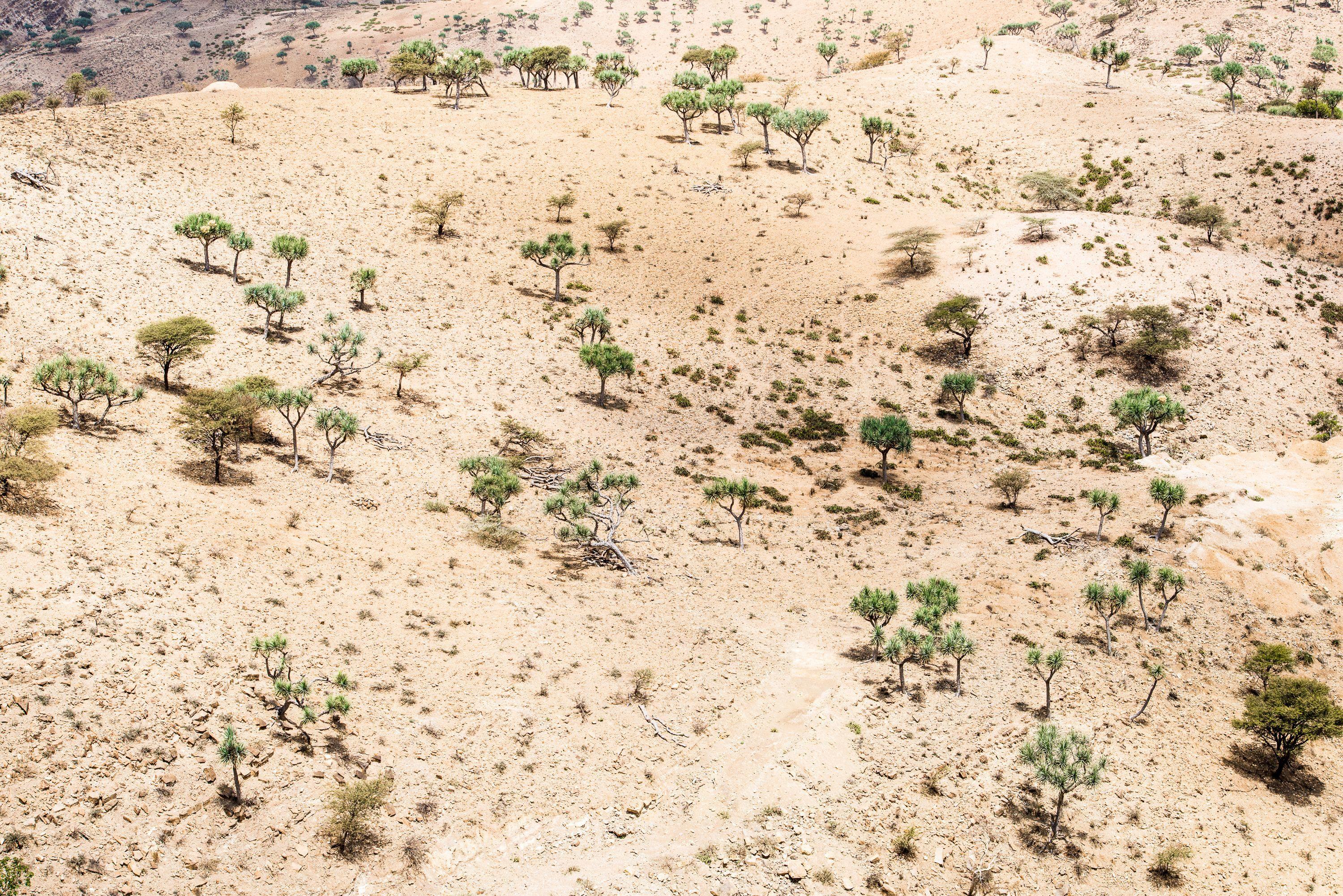 3000x2002 Danakil Desert Ethiopia
