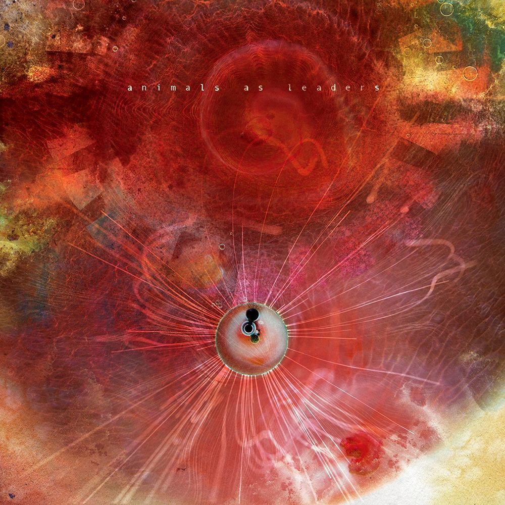 1000x1000 Animals As Leaders Wallpaper, Phone Wallpaper, PFP, Gifs, and More!