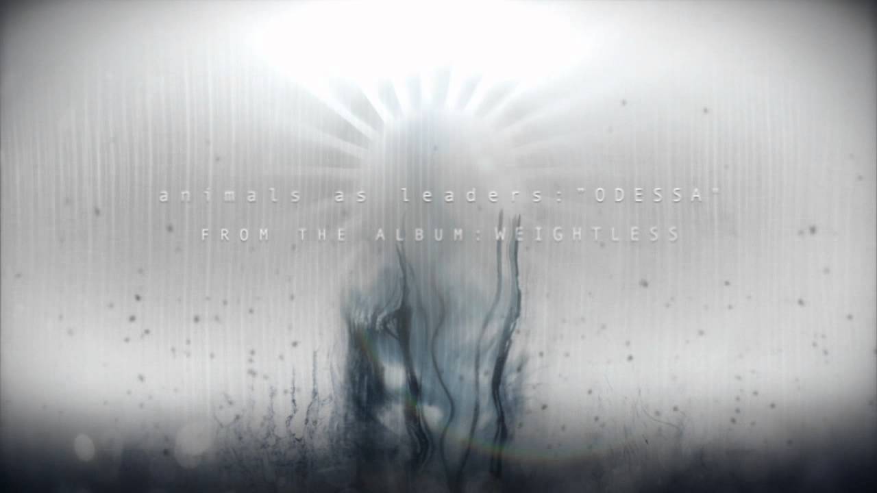 1280x720 Animals As Leaders (official stream)