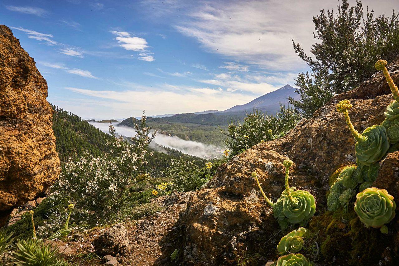 1280x853 Free download Wallpaper Canary Islands Spain Tenerife Nature Sky