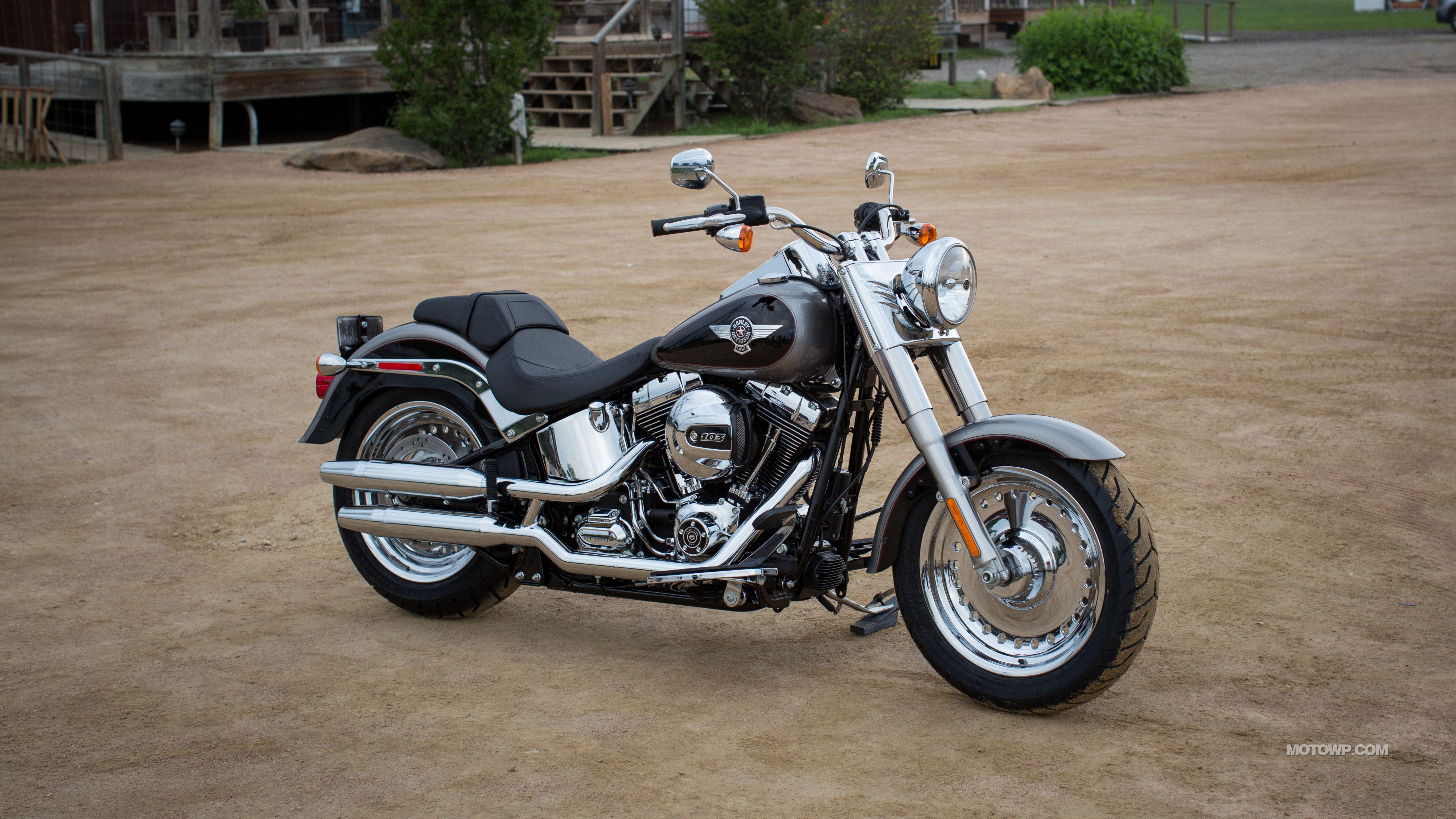 HD Softail fat boy