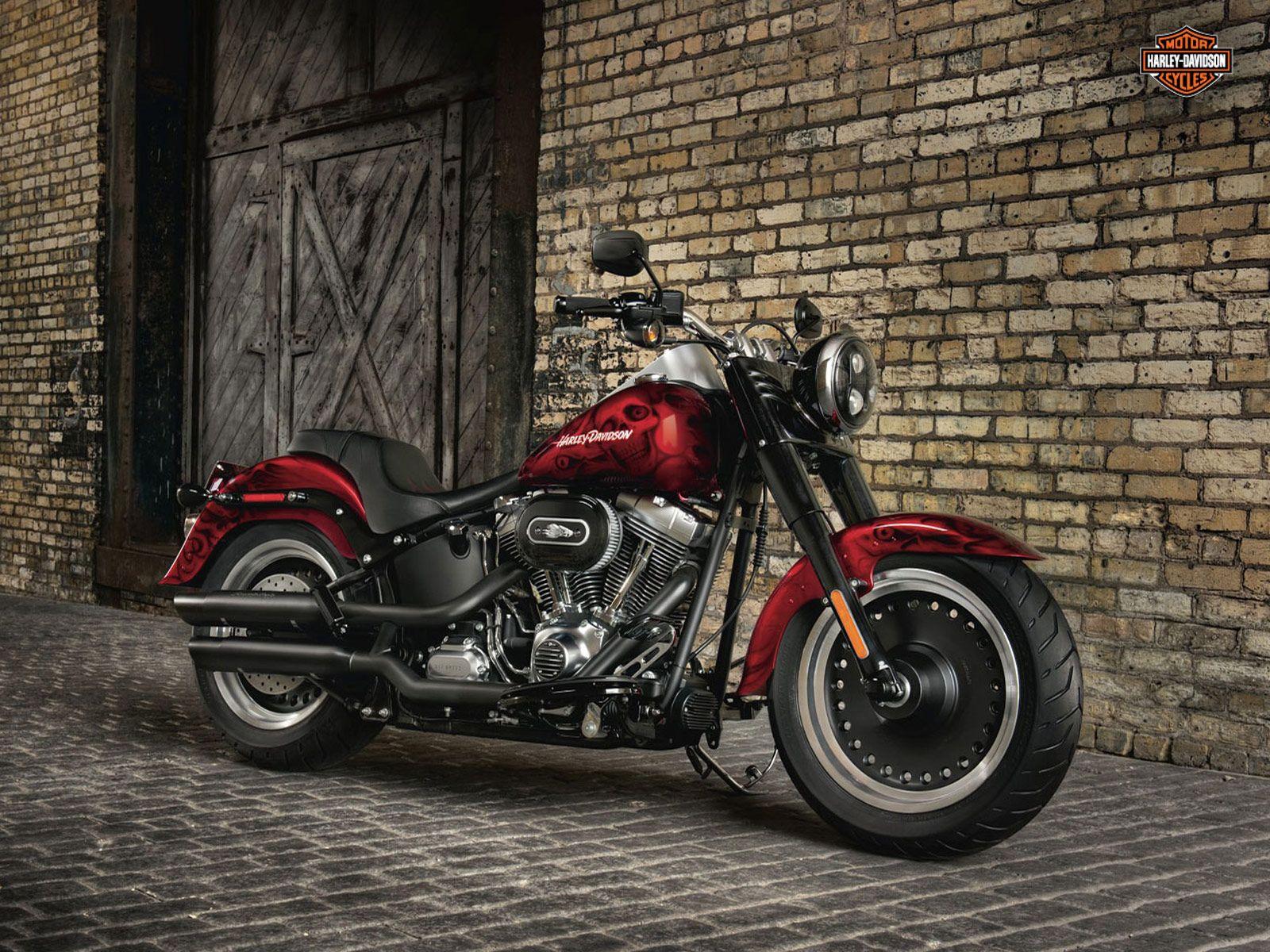 harley davidson fatboy hd wallpaper