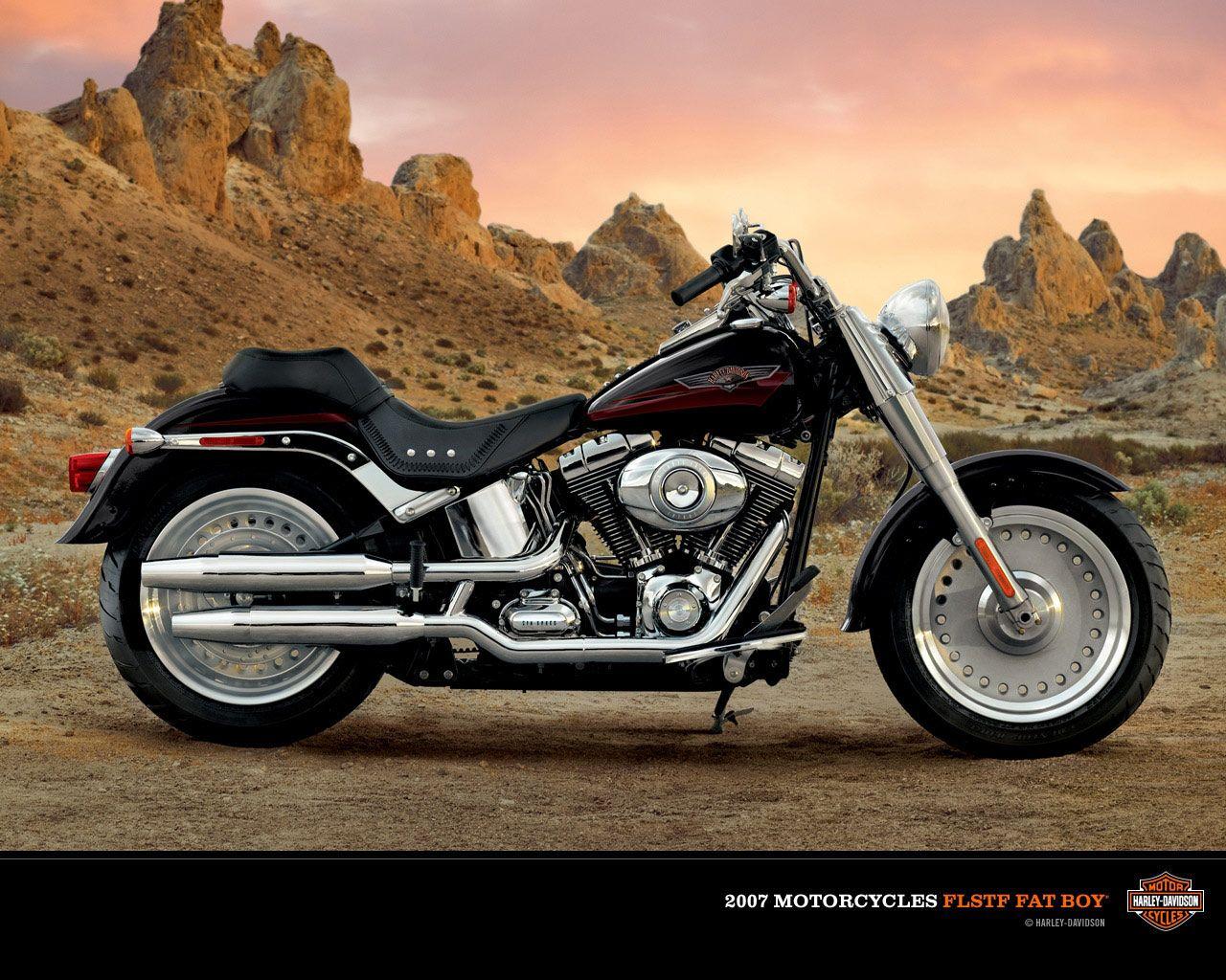 harley davidson fat boy wallpaper