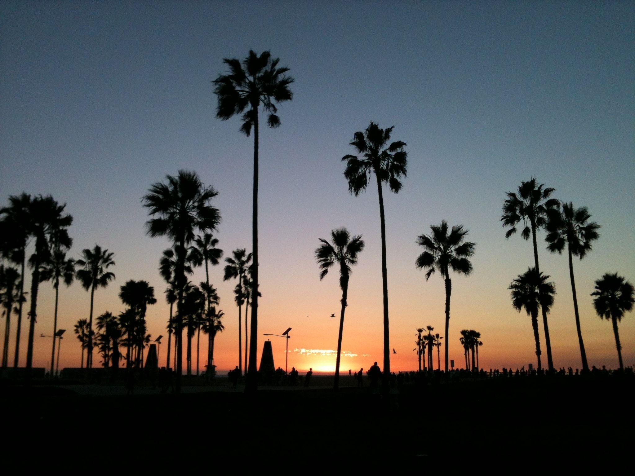 Cali Wallpapers - Top Free Cali Backgrounds - WallpaperAccess