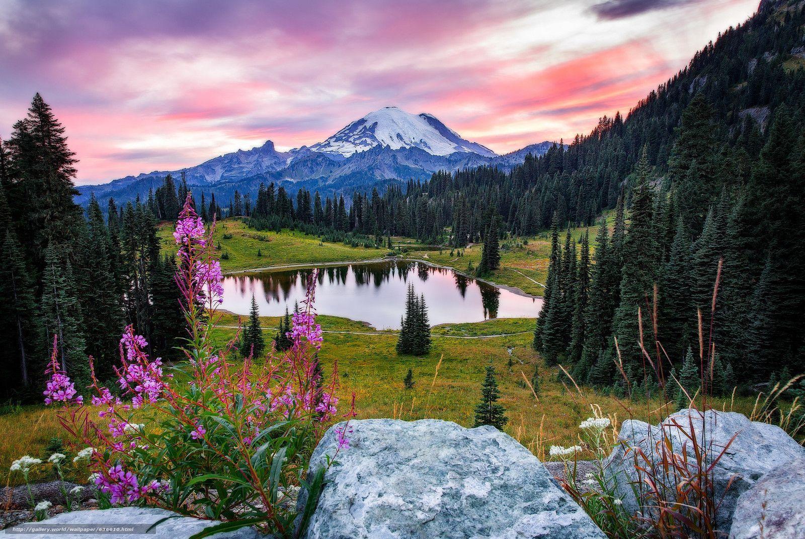 Mount Rainier National Park Wallpapers Top Free Mount Rainier National Park Backgrounds Wallpaperaccess