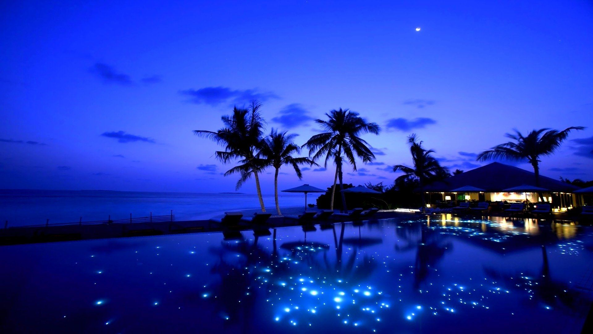 1920x1080 Tropical Blue Night Resort: Palm Trees and Starry Reflections HD Wallpaper