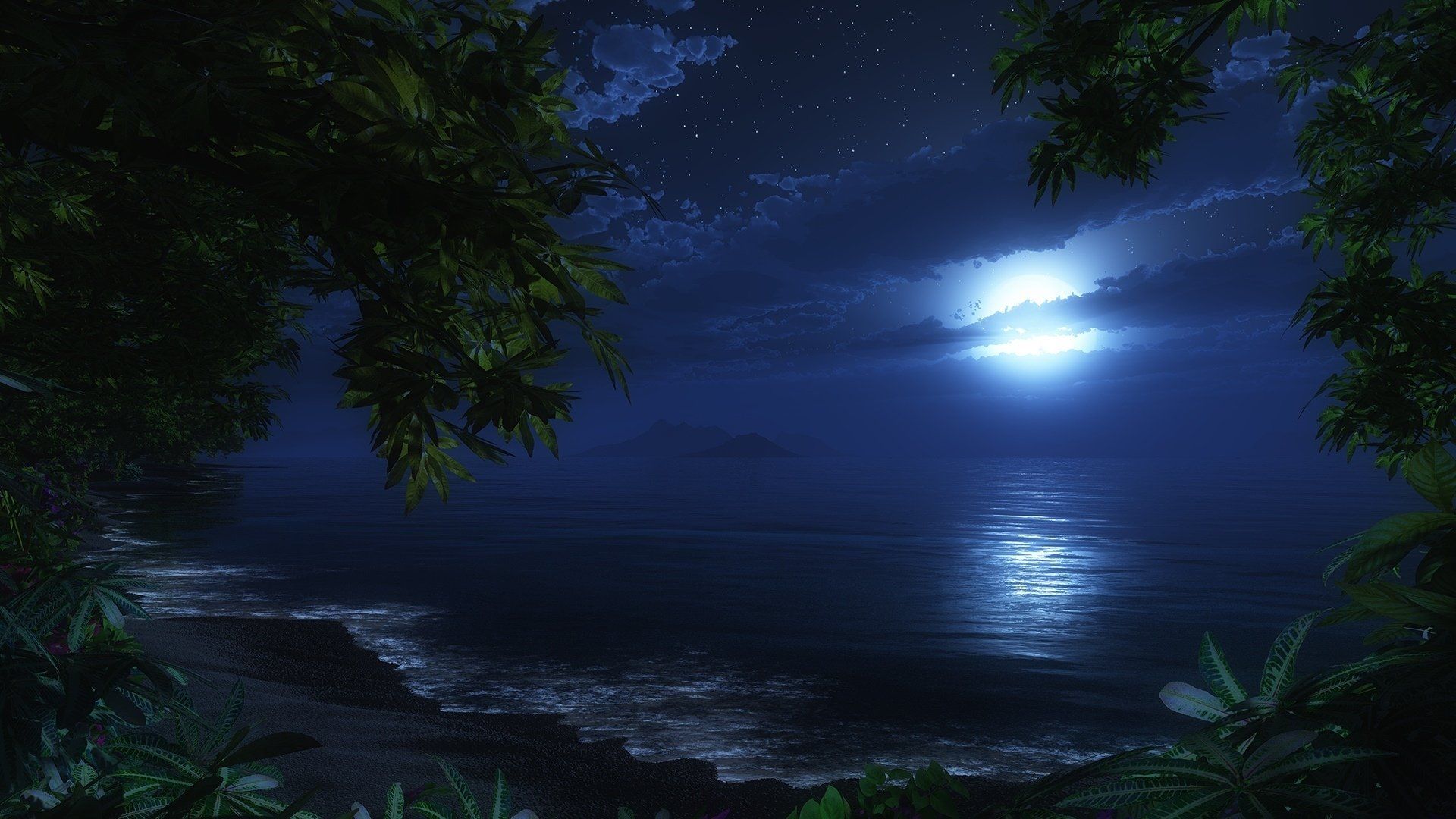 1920x1080 Tropical Night Serenity HD Wallpaper