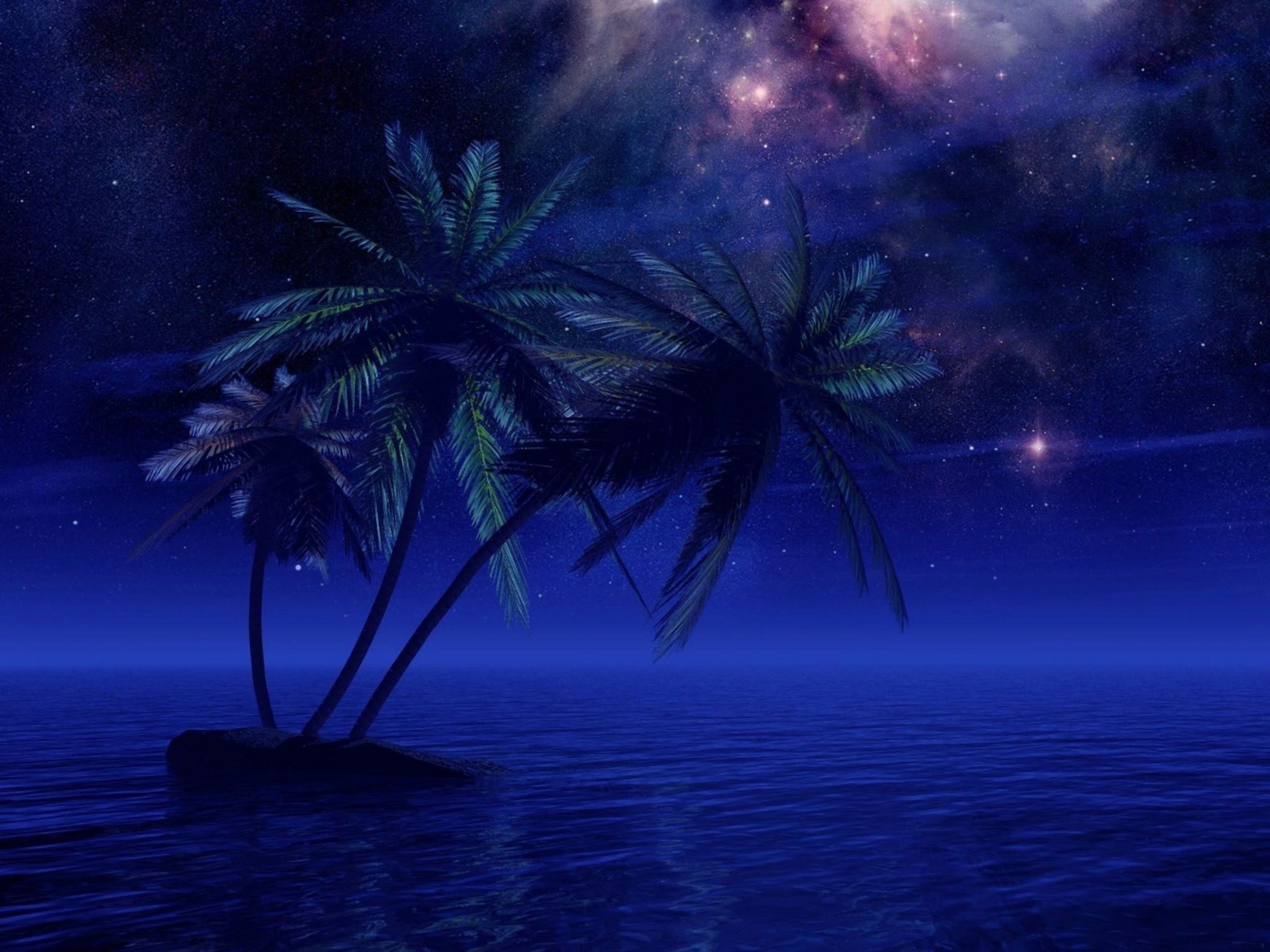 1990x1492 Starry Ocean Night: Artistic Blue Palm HD Wallpaper