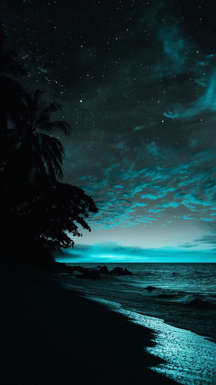 736x1308 Wallpaper beach, sea, palm trees, tropics, stars, dark, Nature 4K by Svetlanatea. Download wallpaper beach, sea, palm trees, tropics, stars, dark for free