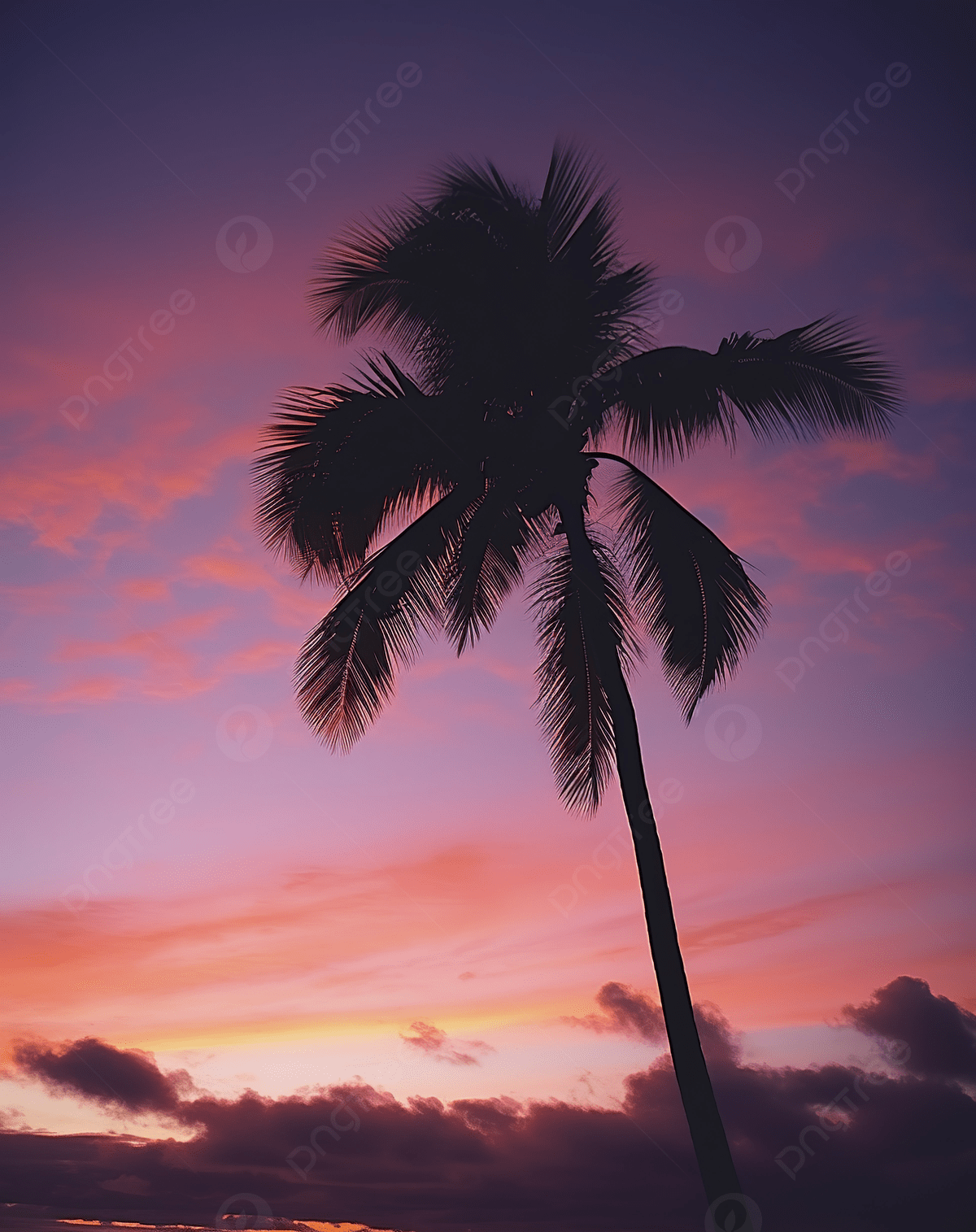 1200x1515 Palm Tree On A Tropical Night Sunset Photo Background Wallpaper Image For Free Download