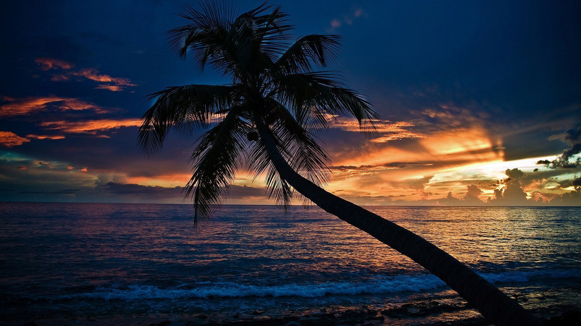 1920x1080 Beach At Night Wallpaper