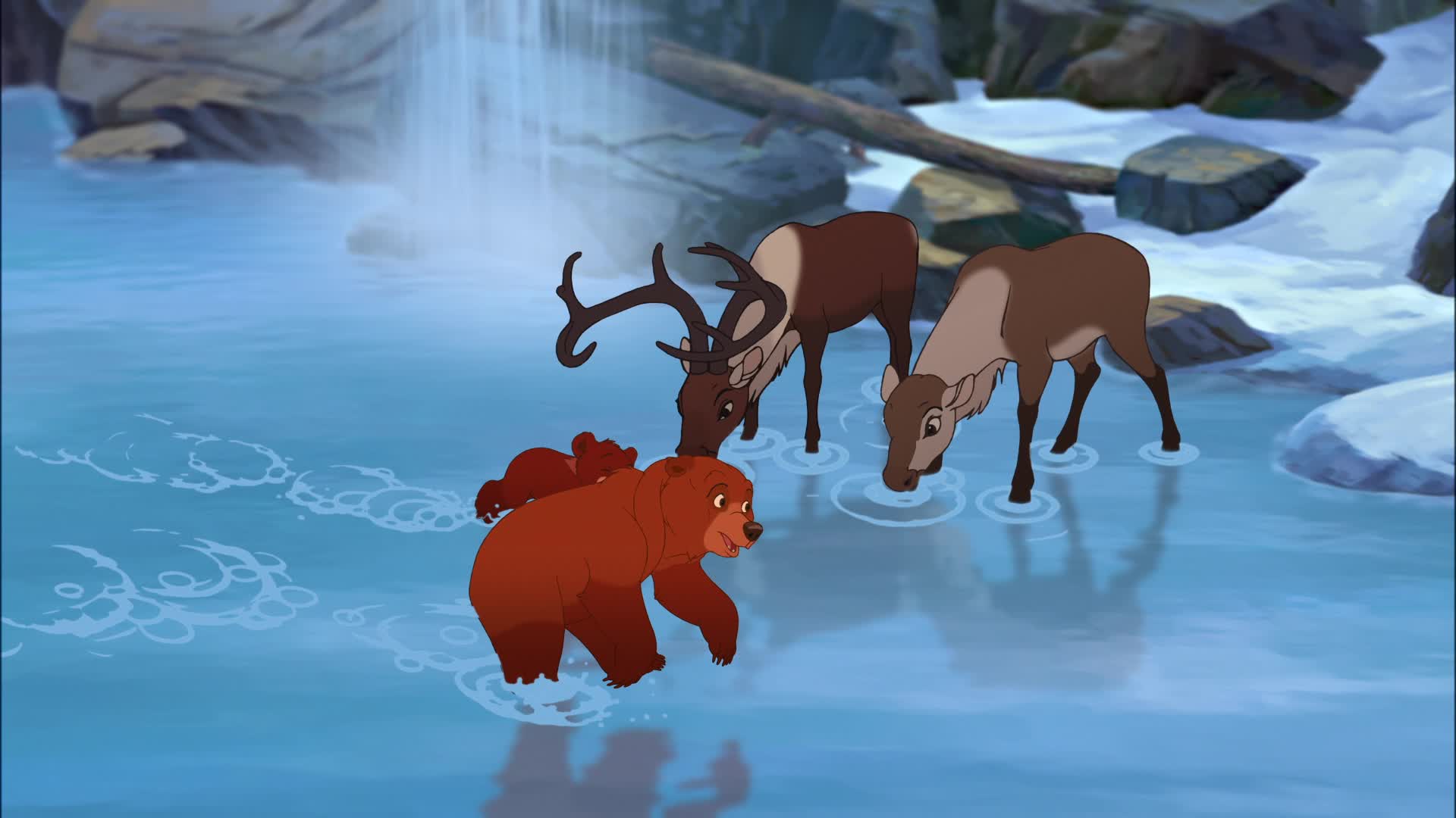 Brother Bear  Koda  Pisces  Disney animated movies Walt disney pixar Bear  wallpaper