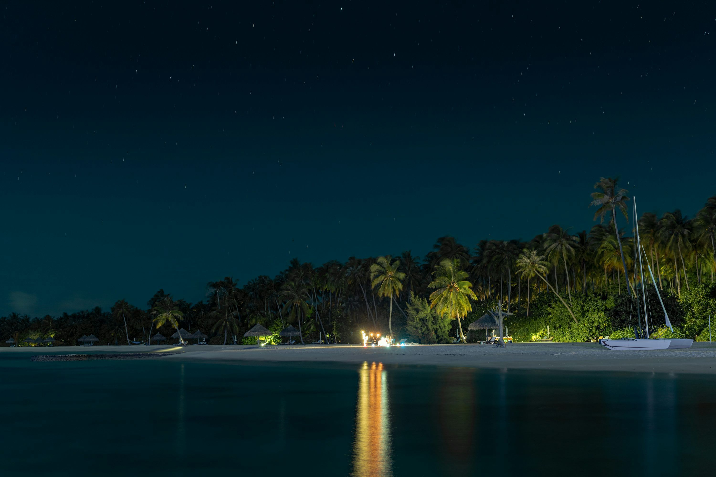 3000x2000 Palm trees on beach shore during night time photo