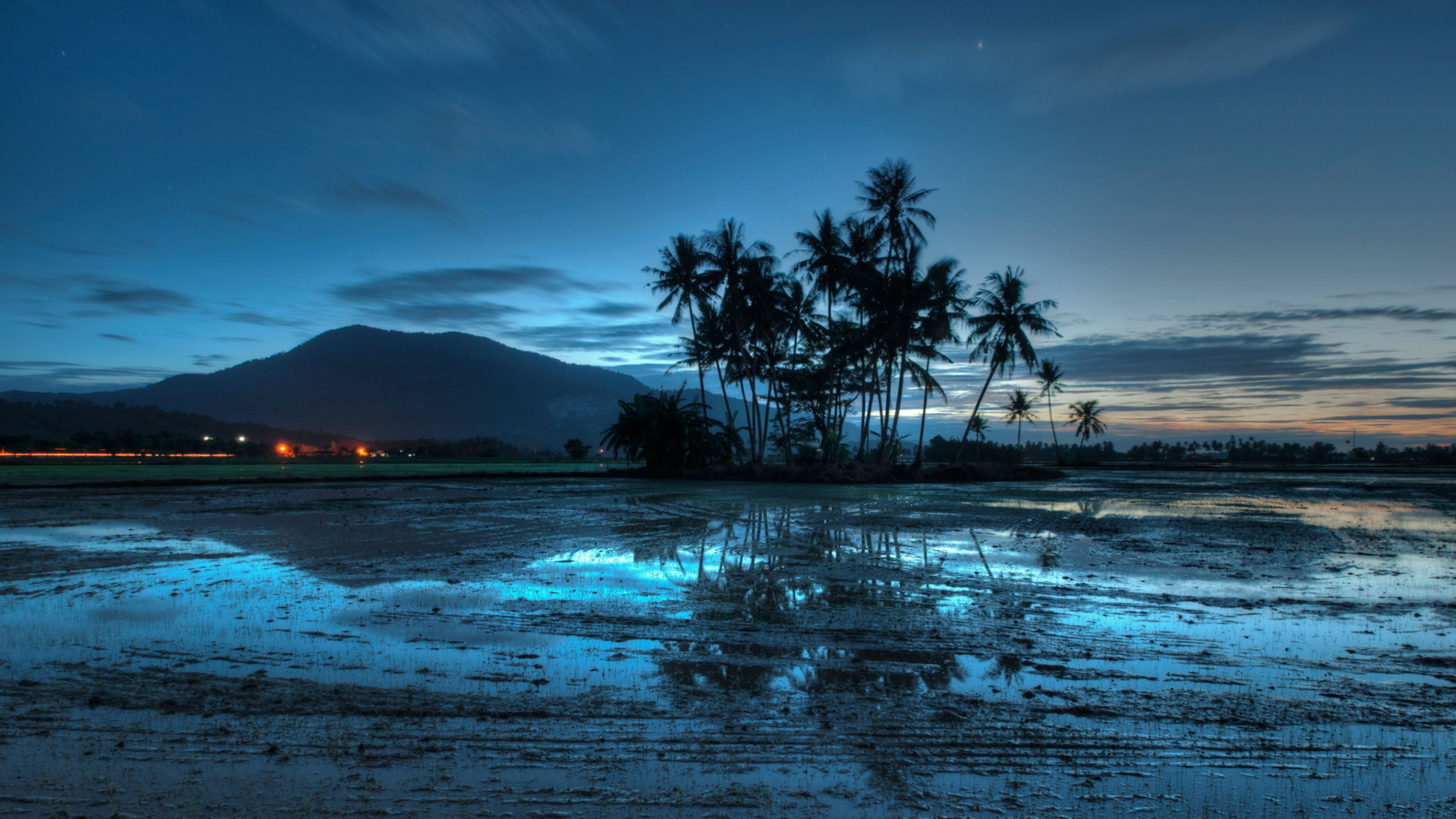 3840x2160 Wallpaper Palm Trees Near Body of Water During Night Time, Background Free Image
