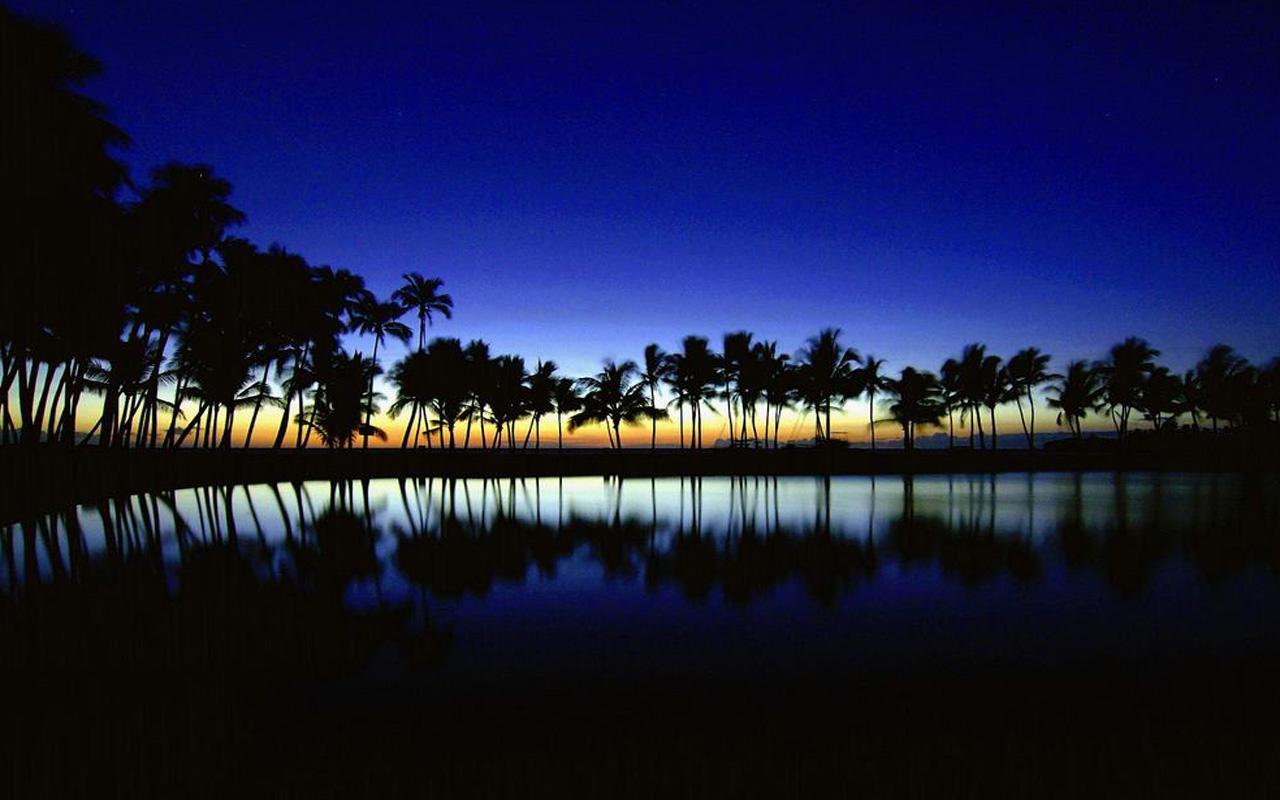 1280x800 Tropical Night Wallpaper, HD Tropical Night Background on WallpaperBat