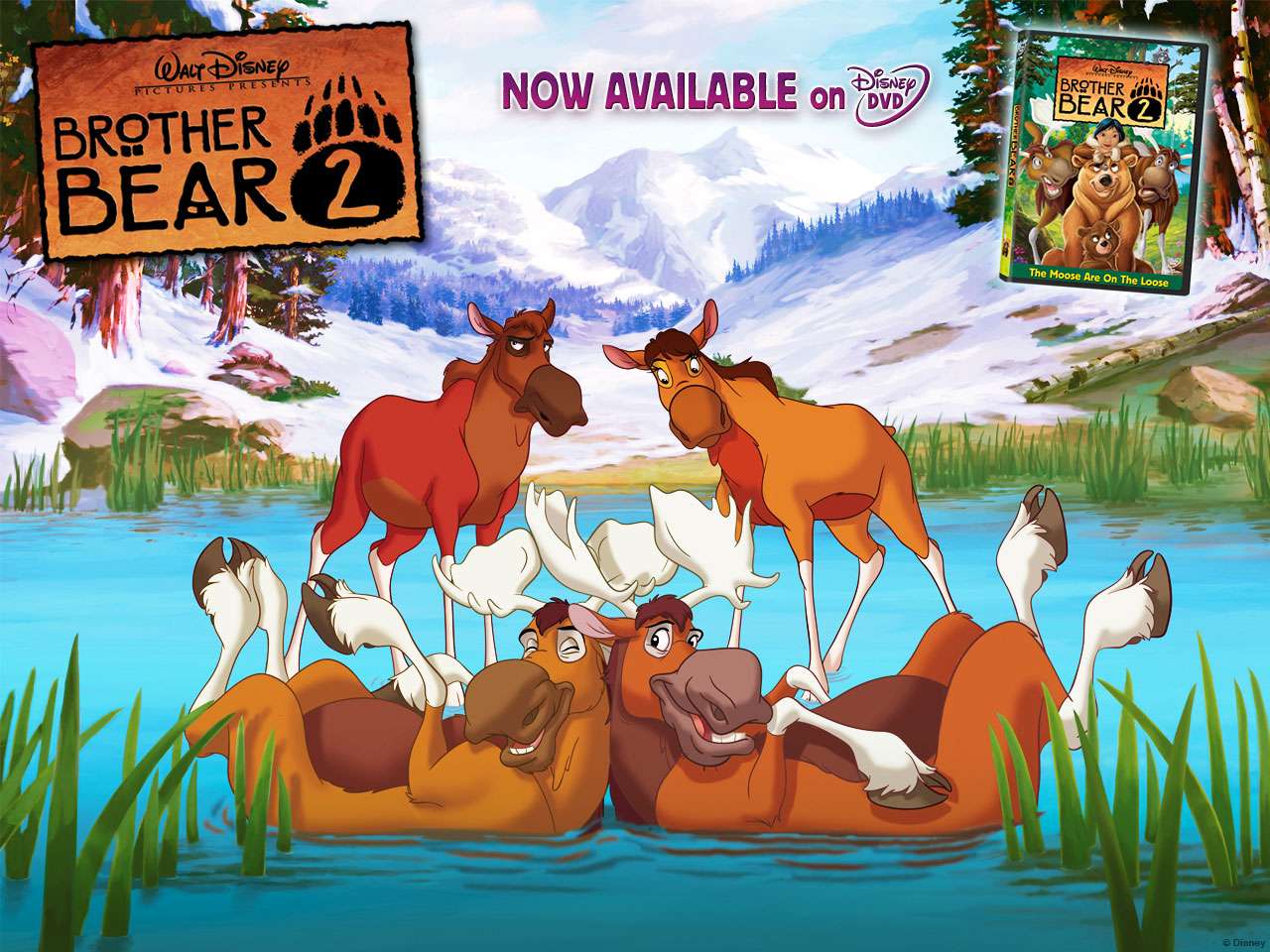 Brother Bear Wallpapers  Wallpaper Cave