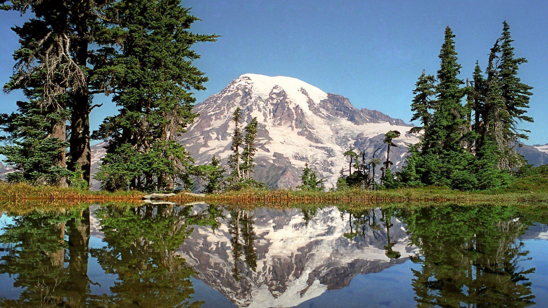 1920x1080 Mount Rainier National Park Wallpaper