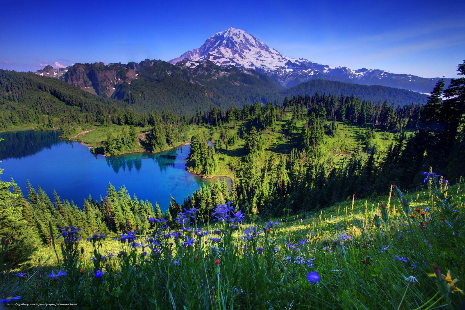 1600x1067 Free download Go Back Pix For Mount Rainier Wallpaper 1600x1067
