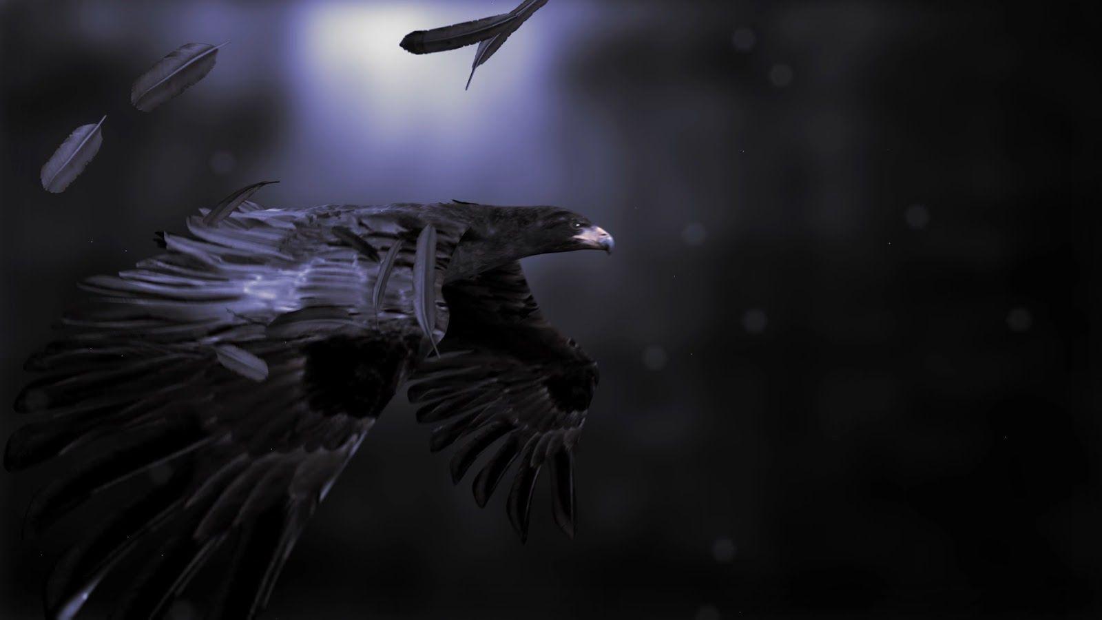 1600x900 Michele Lamanna 3D Artist: GUALICHO Davide Squillace & Marcelo Burlon