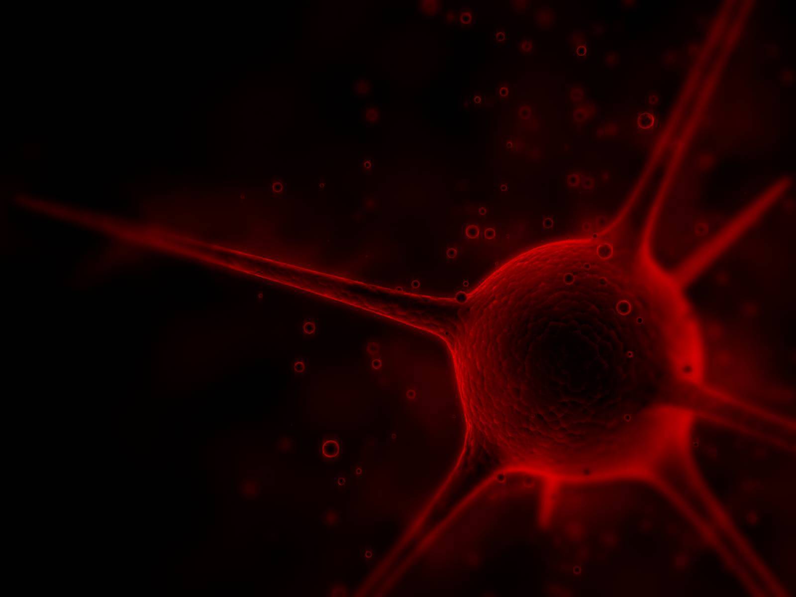 1600x1200 Virus Photography Wallpaper & Background