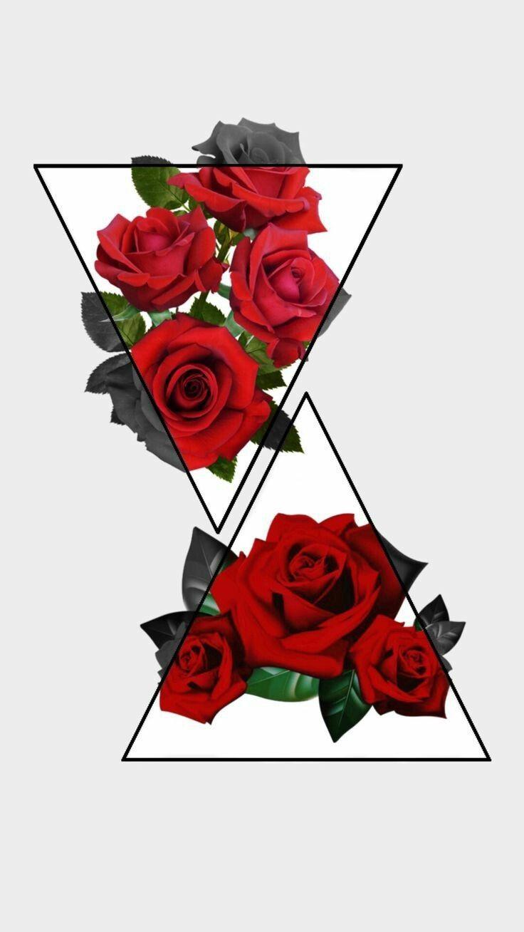 Hình nền thẩm mỹ hoa hồng đỏ 736x1308