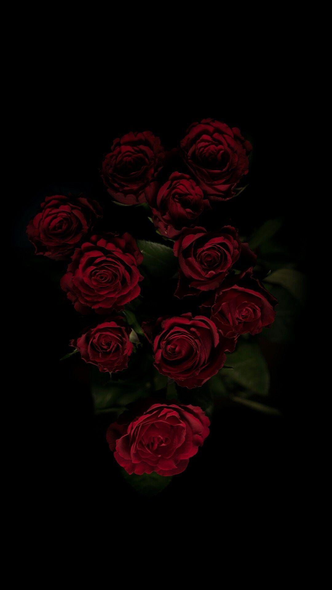 Hình nền thẩm mỹ hoa hồng đen 1080x1920