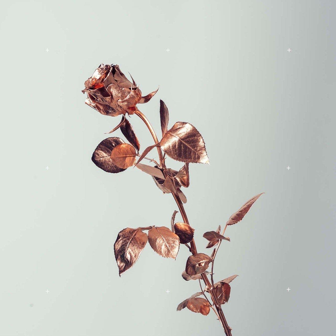 Rose Gold Tumblr Wallpapers - Top Free Rose Gold Tumblr Backgrounds