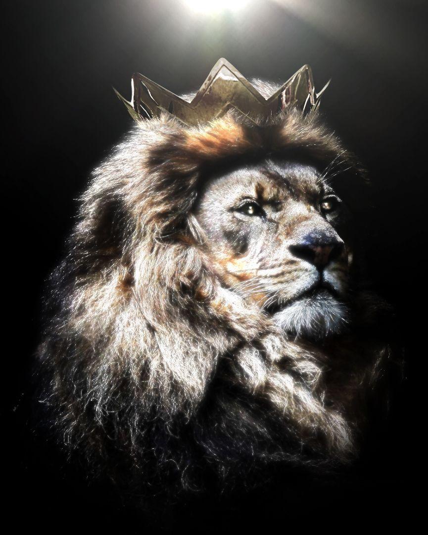 Jesus Christ Lion Screen Background Download Wallpapers 2022 - Vrogue