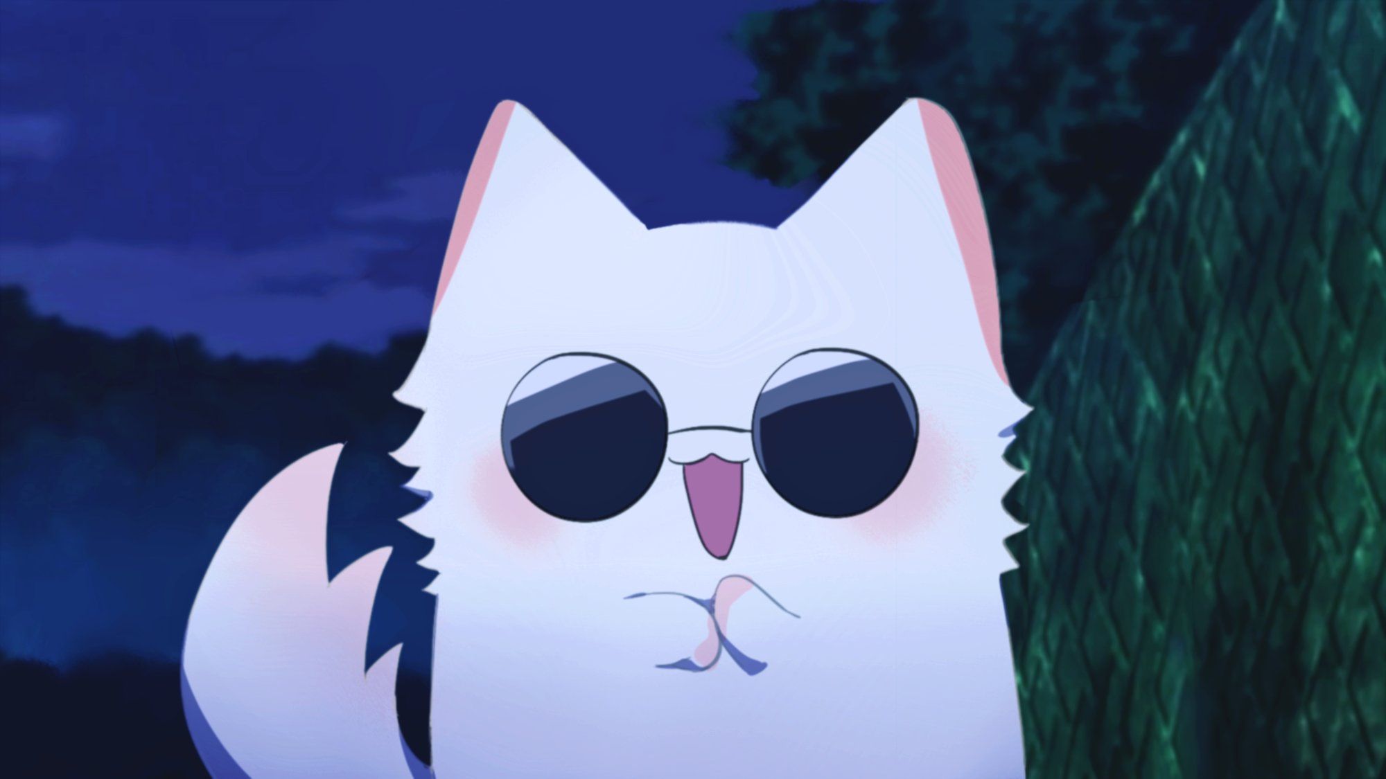 2000x1125 Gojo Cat Desktop Wallpaper