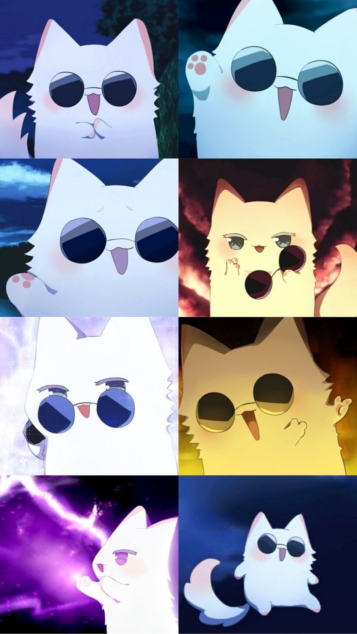736x1307 Gojo cat wallpaper. Anime chibi, Anime character design, Anime canvas
