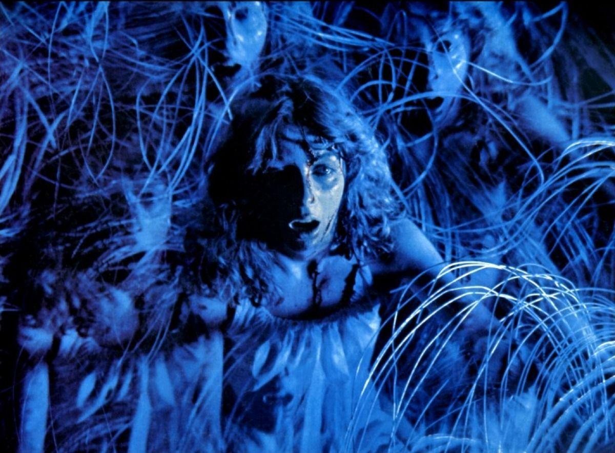1200x884 Dario Argento's Suspiria. Halloween movies, Top halloween movies