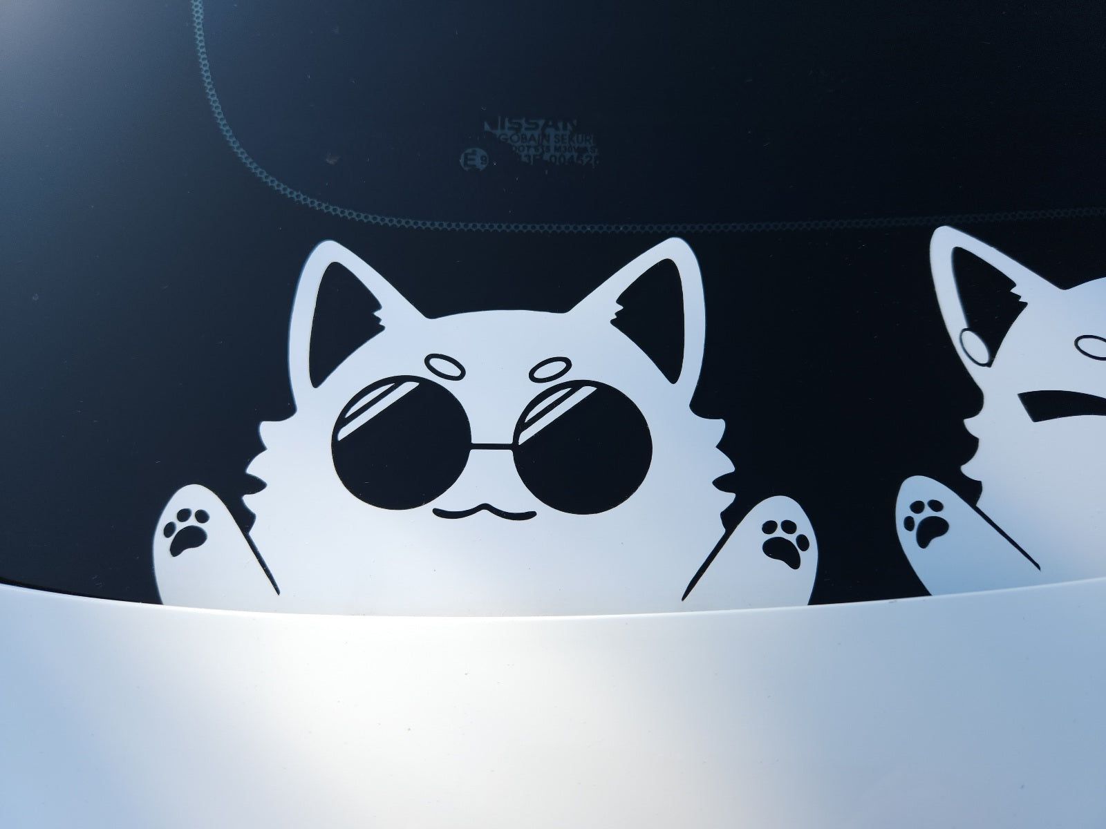 1600x1200 Gojo Catoru Decal