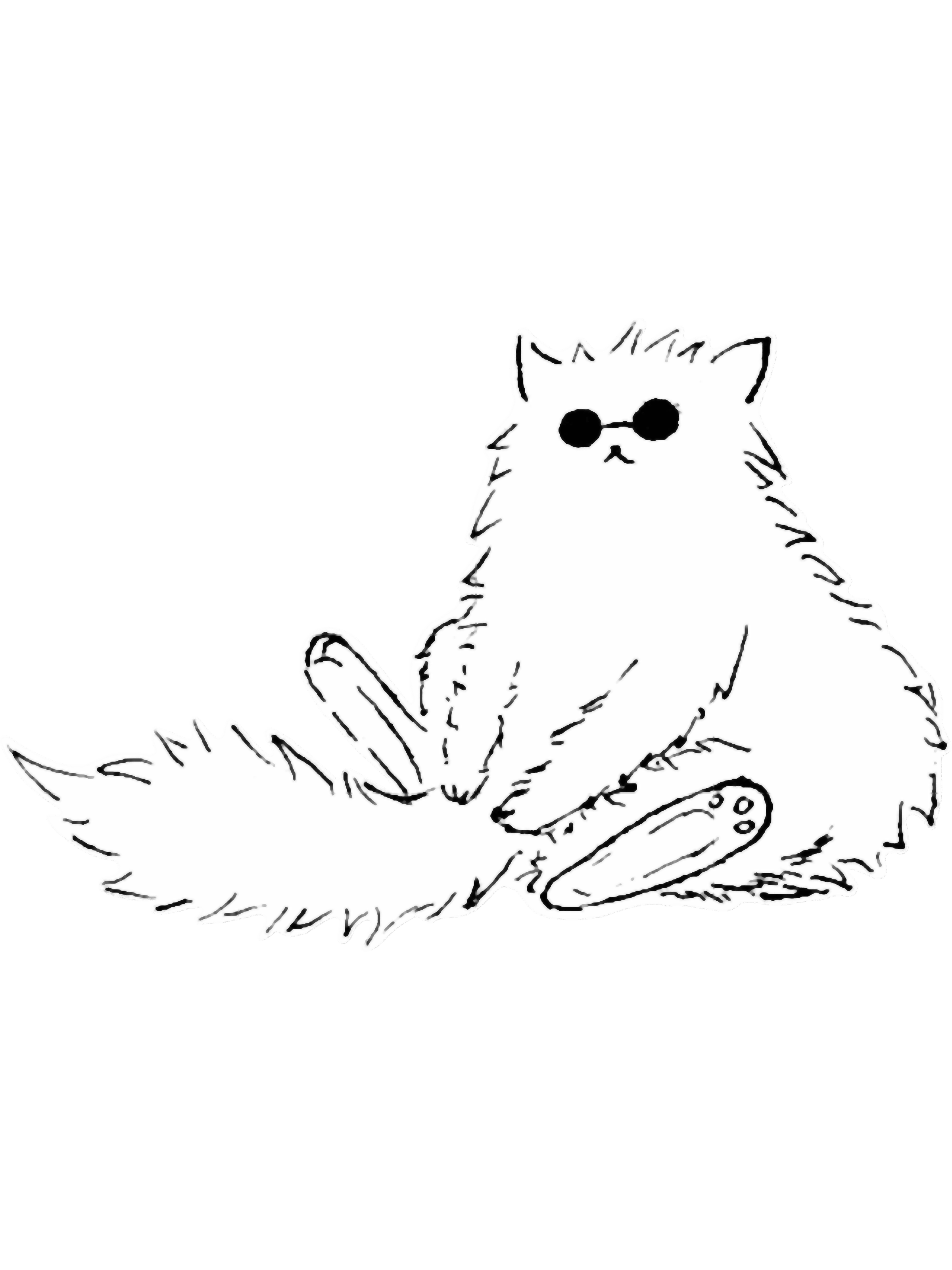 2400x3200 Gojo Cat