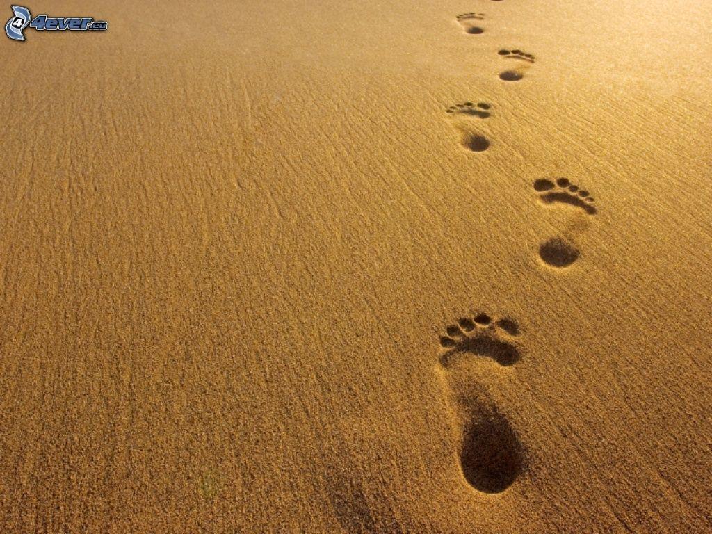 1024x768 Footprints In The Sand Wallpaper