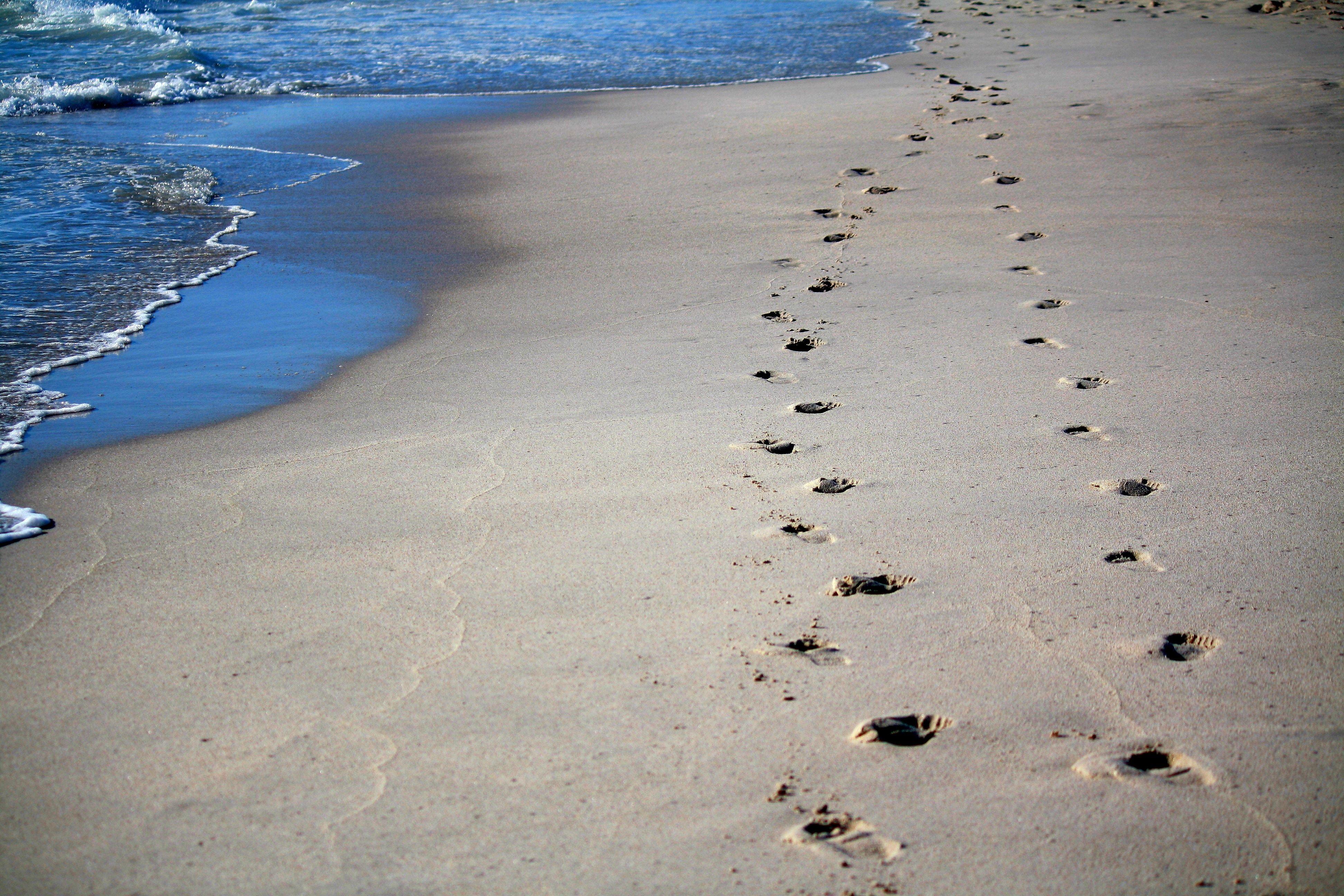 3888x2592 Footprints, Sand, Ocean, Sea, Beach, Water Footprints