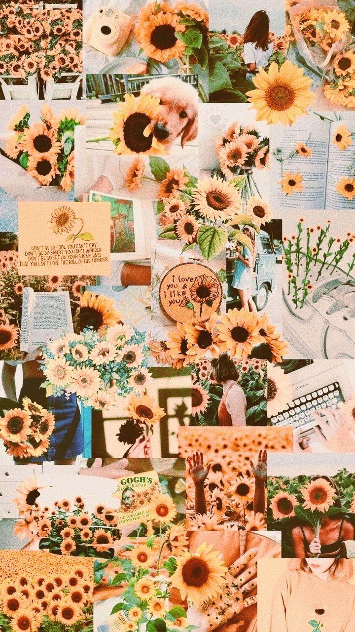 720x1280 image about Wallpaper (✿◕㉨◕). See more