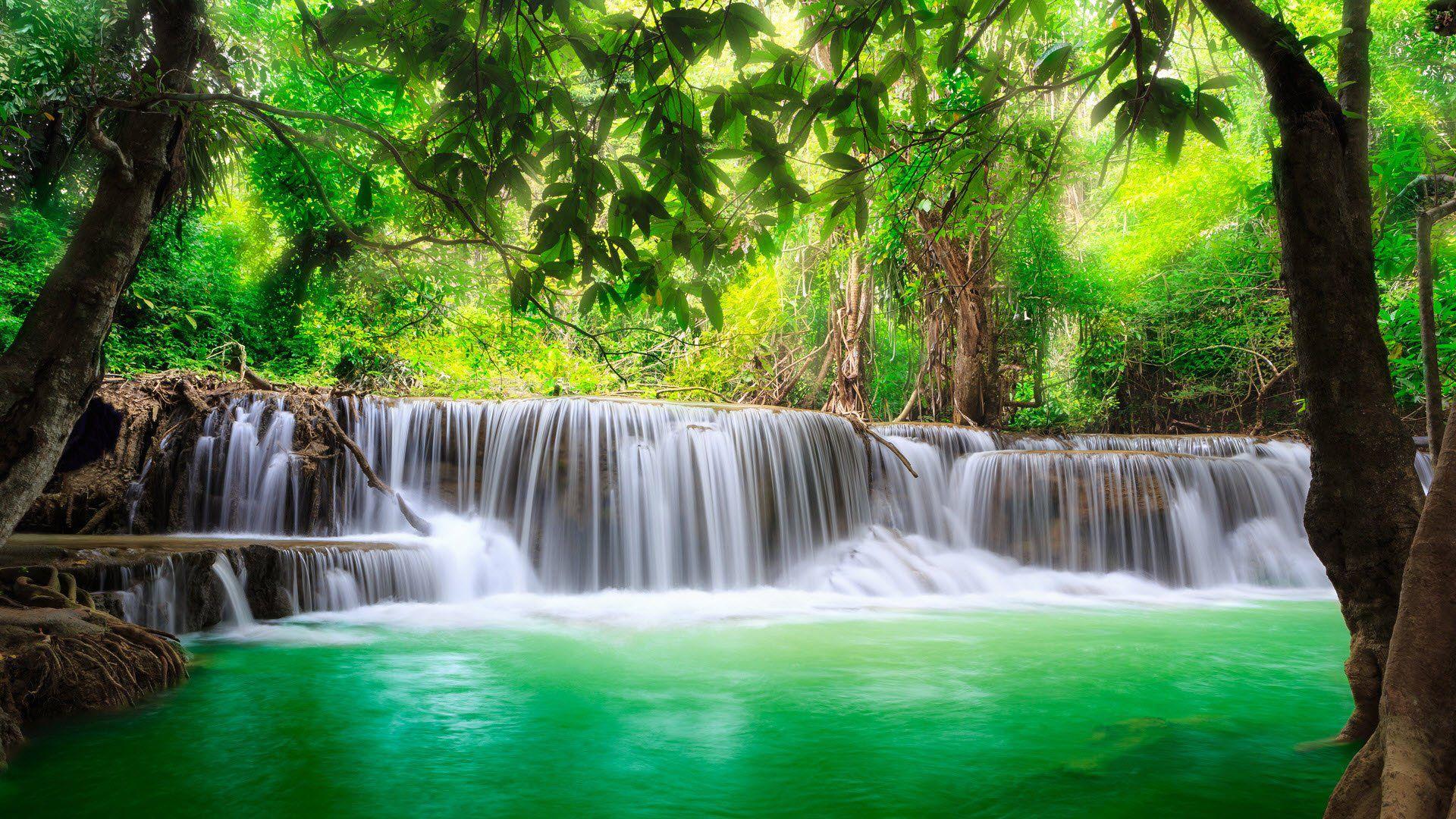 4k Nature Green Wallpapers - Top Free 4k Nature Green Backgrounds ...
