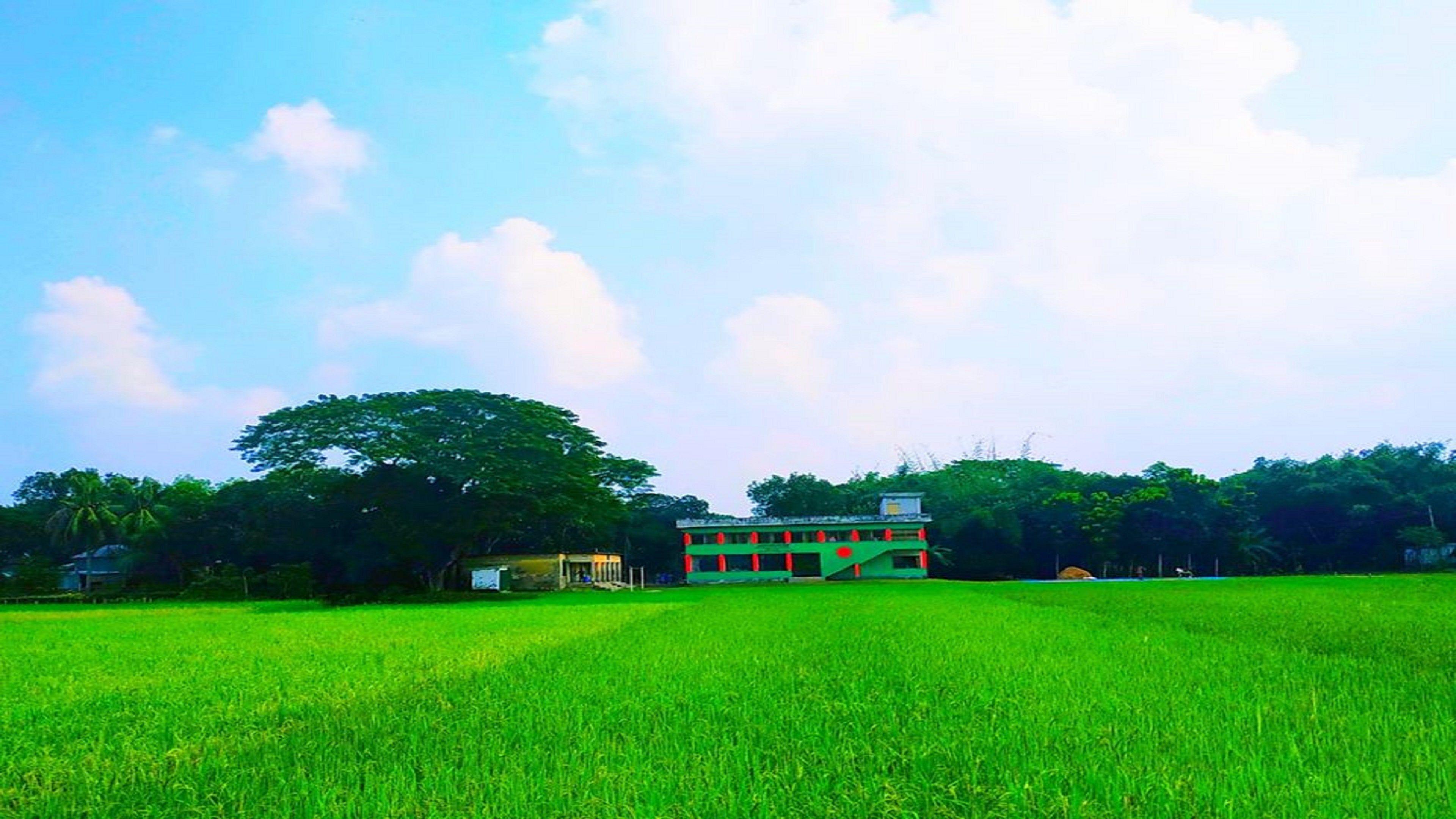 4k Nature Green Wallpapers - Top Free 4k Nature Green Backgrounds