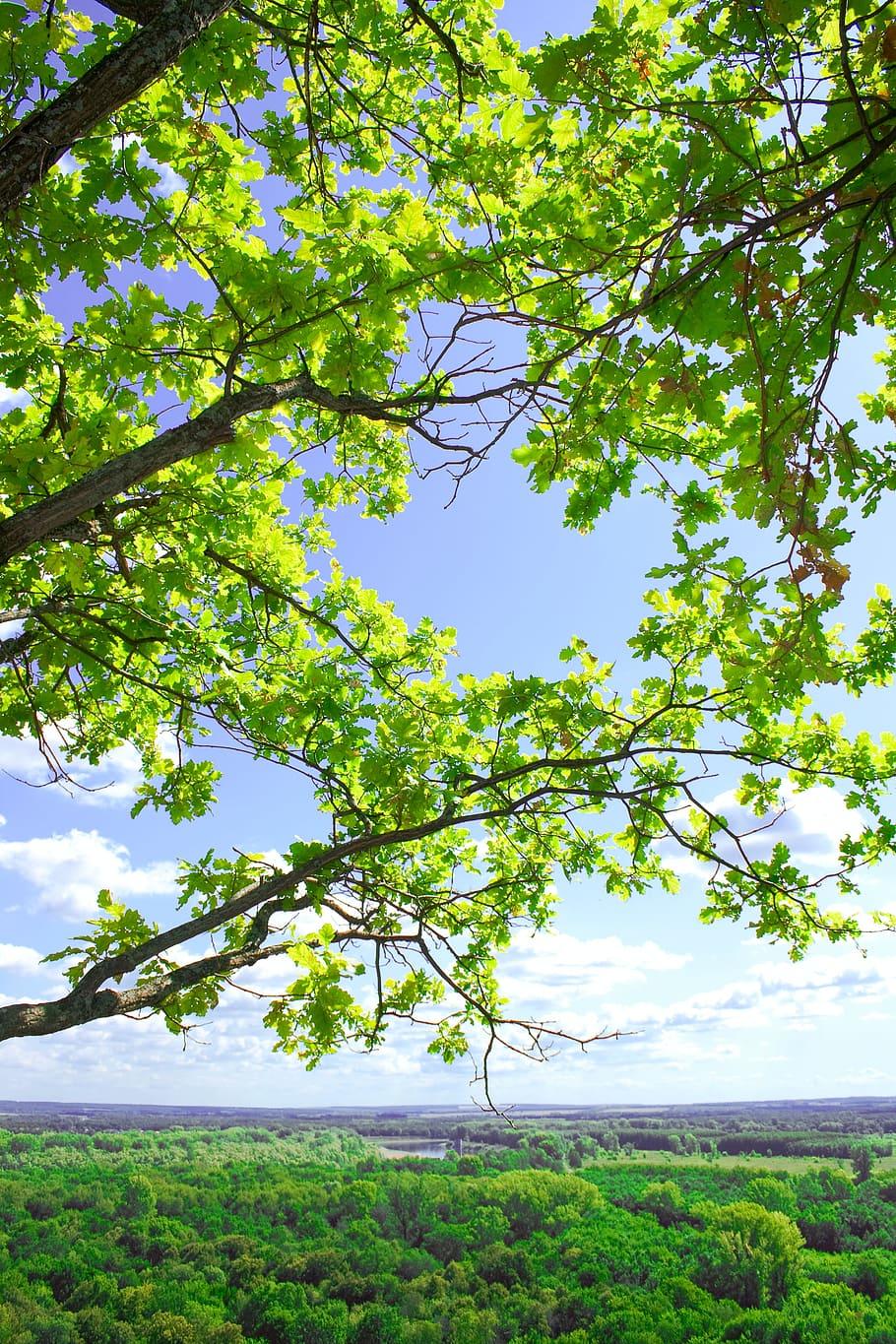 Peaceful Scenes Wallpapers Top Free Peaceful