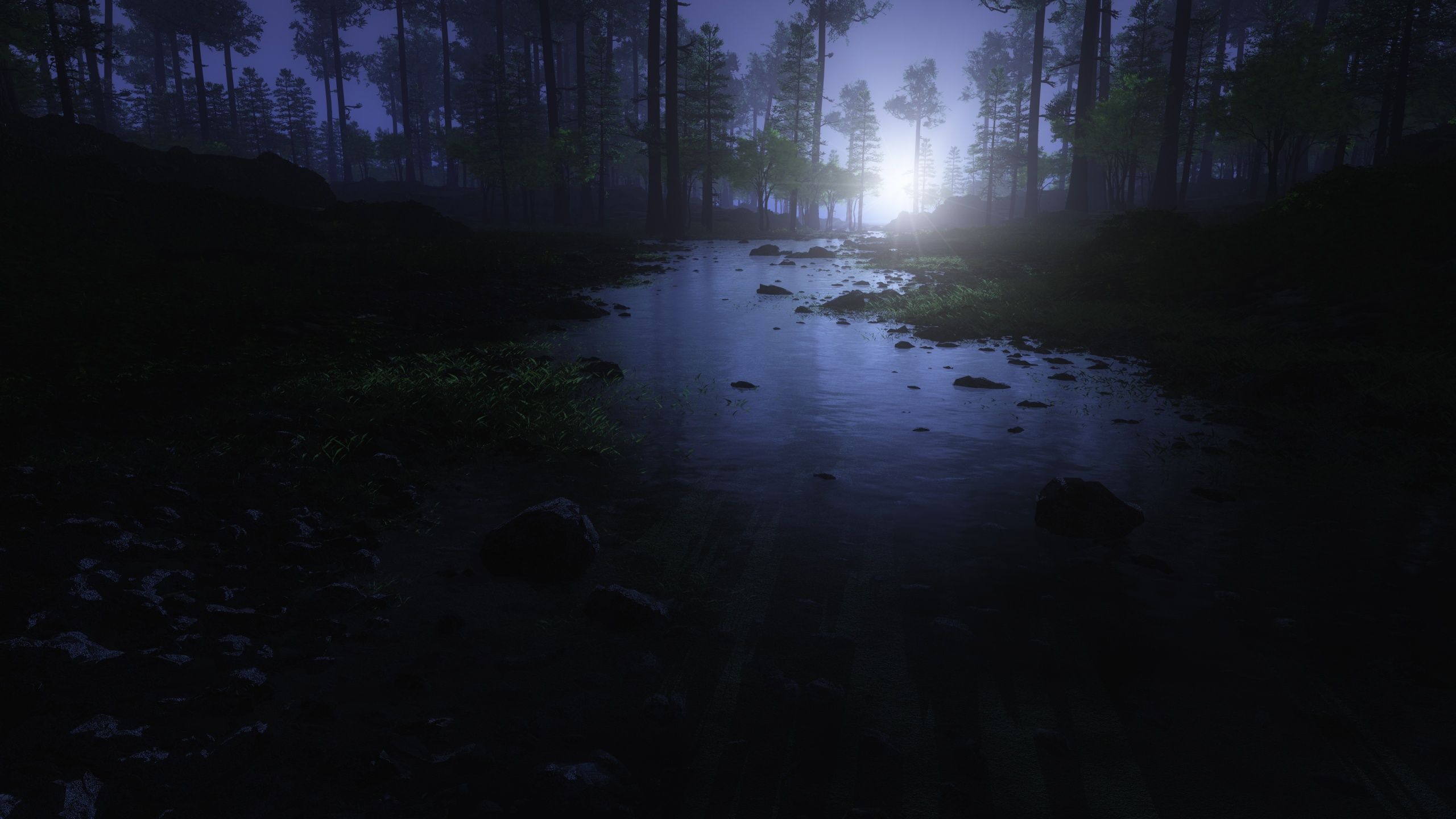 2560x1440 Dark Forest Wallpaper 4K, Water Stream, Trees, Landscape