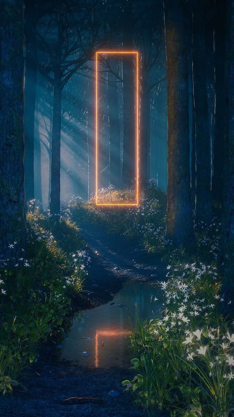 800x1422 Dark forest, fantasy, firest, flowers, frame, nature, reflection, water, HD phone wallpaper