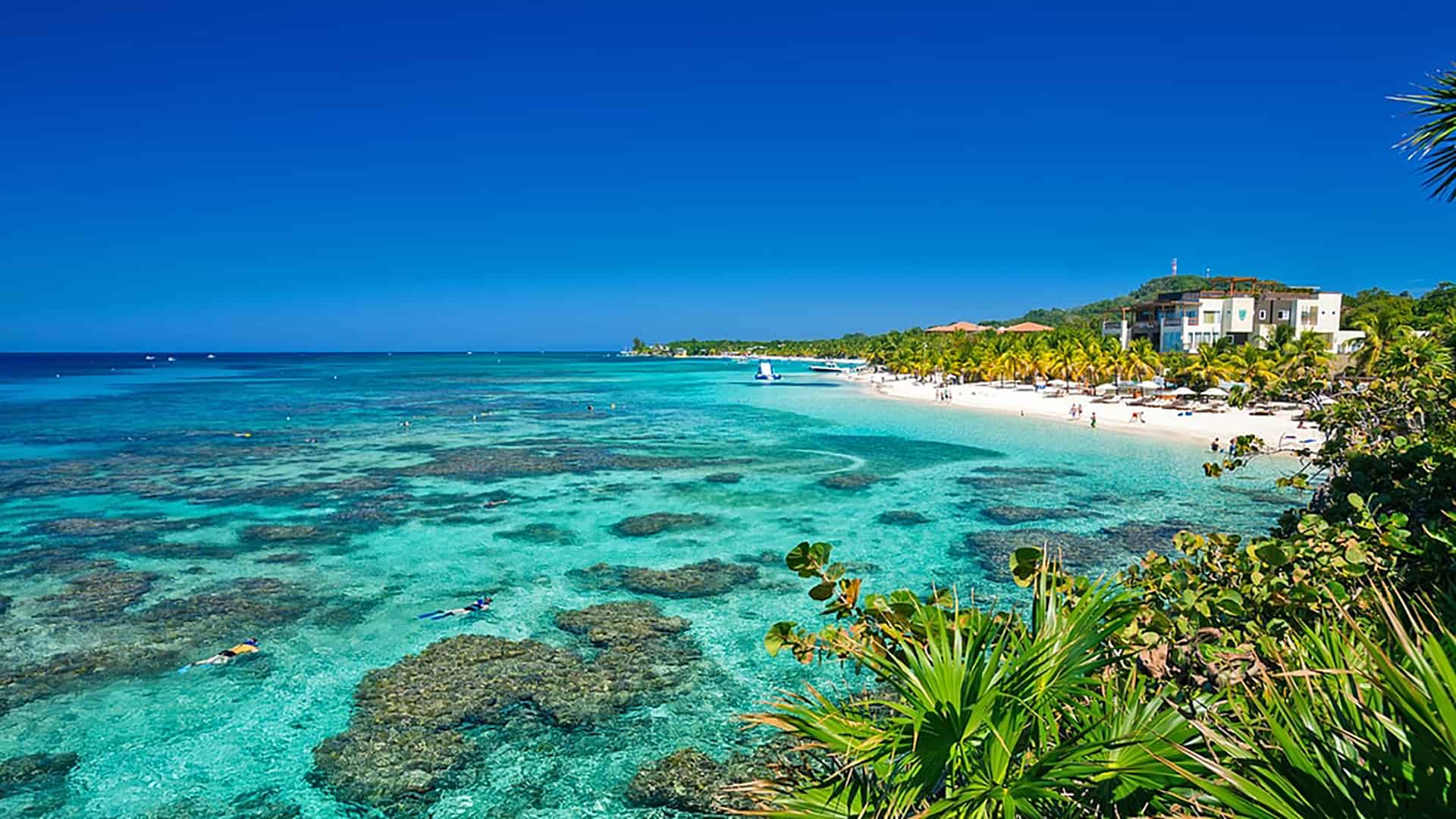 1920x1080 Roatán Wallpaper